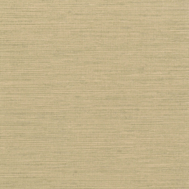 Kravet Design W3639-4 by Kravet Design Wallcovering Kravet Design Wallcovering Kravet Design W3639-4Wallcovering POLY VINYL CHLORIDE - 74.7%;RECYCLED POLY VINYL CHLORIDE - 8.3%;PVC COMPOUND - 6.9%;POLYESTER - 6.24%;OTHER - 2%;COTTON - 1.86% United States </p><p>Repeat: H: 0, V: 0 54 - Fabric Carolina -