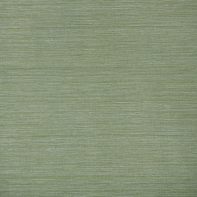 W1014-14 Hadley Fern Wallpaper by Aoc Wallcovering Aoc Wallcovering W1014-14 Hadley Fern WallpaperWallcovering VINYL TEXTURED WALLPAPER USA </p><p>Repeat: H: 0.000, V: 0.000 27 in - Fabric Carolina -