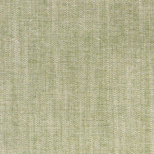 Judson 6 Basil by Stout Fabric Stout Fabric Judson 6 BasilFabric RAINBOW LIBRARY PEAR/JUNGLE TURKEY </p><p>Repeat: H: 0.000, V: 0.000 54 in - Fabric Carolina -