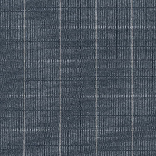 CB800-354 by Charlotte Designer Fabric Shades of Navy 51% Recycled Polyester, 49% Polyester USA Exceeds 125,000 Wyzenbeek Rubs </p><p>Repeat: Horizontal 3.5" x Vertical 3.5" 54 Inches - Swanky Fabrics -