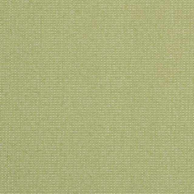 D2521 Pear by Charlotte Designer Fabric Veranda 100% Polypropylene USA Exceeds 60,000 Wyzenbeek Rubs </p><p>Repeat: 54 Inches - Swanky Fabrics -