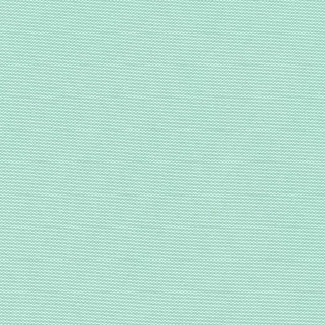 D2806 Aqua by Charlotte Designer Fabric Patio Plains 100% Solution Dyed Polyester Asia Exceeds 70,000 Wyzenbeek Rubs </p><p>Repeat: 54 Inches - Swanky Fabrics -