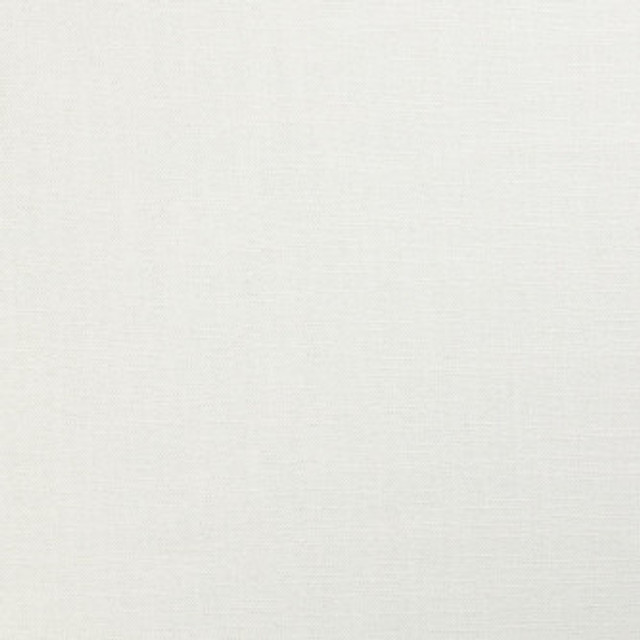 Carsen Off White by Mitchell Designer Fabric #2206 75% Polyester,25% Viscose Imported </p><p>Repeat: Horizontal: and Vertical: 51"-54" - Swanky Fabrics -