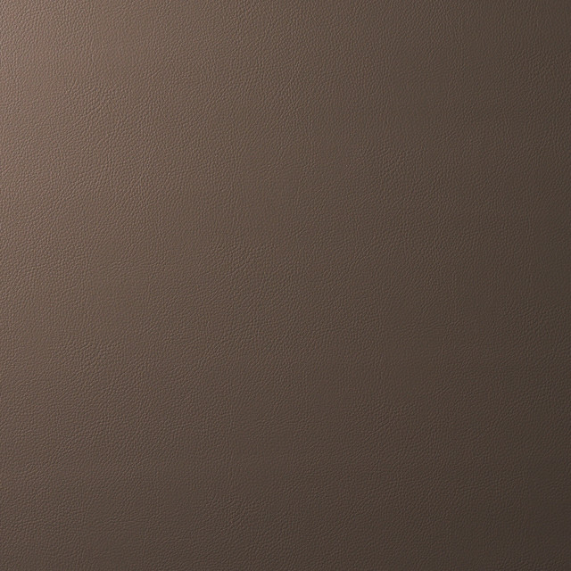 Indoor/Outdoor Vegan Leather Java 80901 by Schumacher Fabric Schumacher Fabric Indoor/Outdoor Vegan Leather Java 80901Fabric THERMOPOLYESTER 80% </p><p>Repeat: H: , V: 54 - Fabric Carolina -