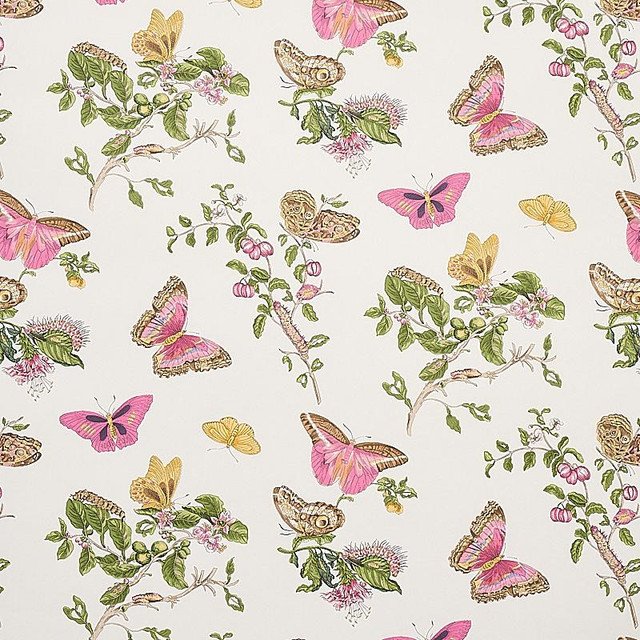 Baudin Butterfly Blush 5010690 by Schumacher Designer Wallpaper Signature Schumacher 26.78" - Swanky Fabrics - Baudin Butterfly Blush 5010690 by Schumacher Designer Wallpaper Signature Schumacher 26.78" - Swanky Fabrics -
