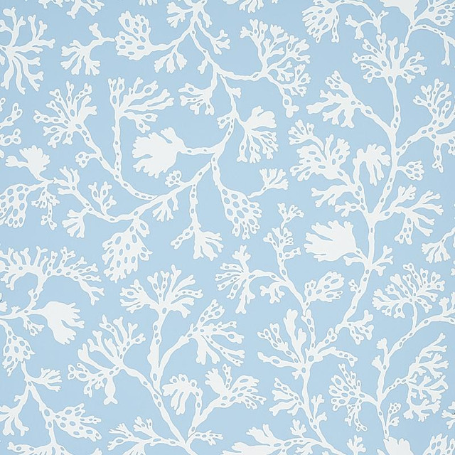 Anthoza Sky 5012130 by Schumacher Designer Wallpaper Signature Schumacher 27.0" - Swanky Fabrics - Anthoza Sky 5012130 by Schumacher Designer Wallpaper Signature Schumacher 27.0" - Swanky Fabrics -