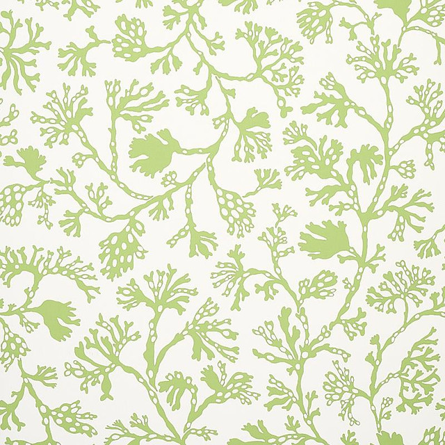 Anthoza Green 5012131 by Schumacher Designer Wallpaper Signature Schumacher 27.0" - Swanky Fabrics - Anthoza Green 5012131 by Schumacher Designer Wallpaper Signature Schumacher 27.0" - Swanky Fabrics -