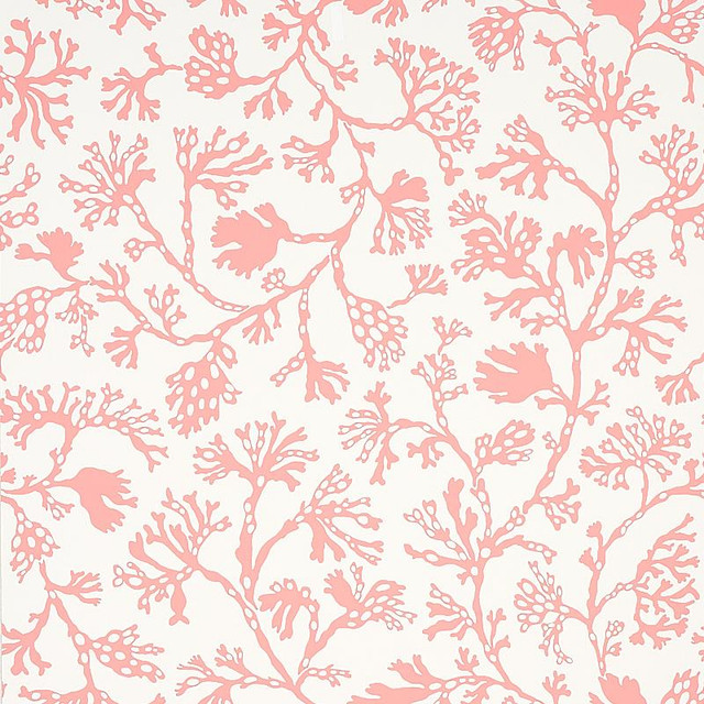 Anthoza Coral 5012132 by Schumacher Designer Wallpaper Signature Schumacher 27.0" - Swanky Fabrics - Anthoza Coral 5012132 by Schumacher Designer Wallpaper Signature Schumacher 27.0" - Swanky Fabrics -