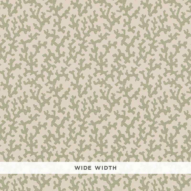 Folly Sage 5008003 by Schumacher Designer Wallpaper Veere Grenney 4.38" - Swanky Fabrics - Folly Sage 5008003 by Schumacher Designer Wallpaper Veere Grenney 4.38" - Swanky Fabrics -