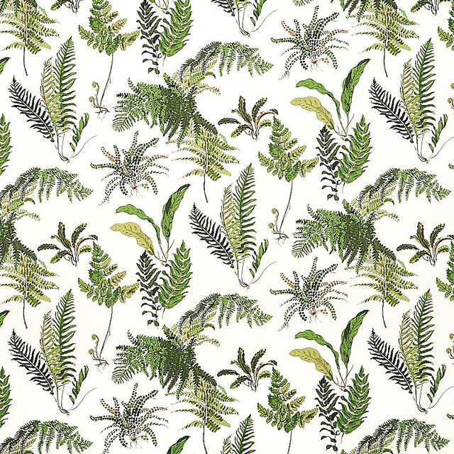 Les Fougeres Document 5010660 by Schumacher Designer Wallpaper Signature Schumacher 18.0" - Swanky Fabrics - Les Fougeres Document 5010660 by Schumacher Designer Wallpaper Signature Schumacher 18.0" - Swanky Fabrics -