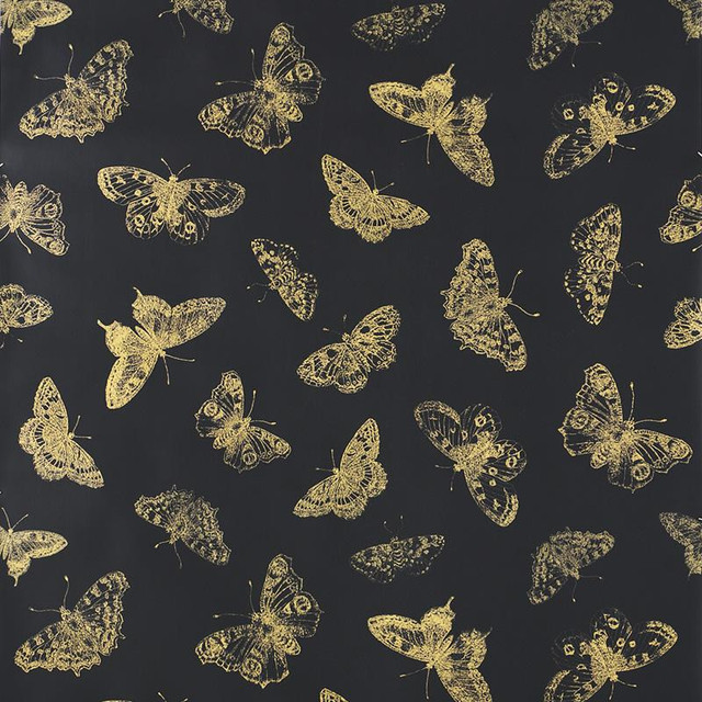 Burnell Butterfly Black 5011742 by Schumacher Designer Wallpaper Misterioso 27.0" - Swanky Fabrics - Burnell Butterfly Black 5011742 by Schumacher Designer Wallpaper Misterioso 27.0" - Swanky Fabrics -