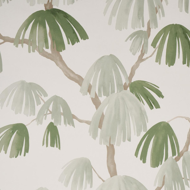 Weeping Pine Sage 5008332 by Schumacher Designer Wallpaper David Kaihoi 54.0" - Swanky Fabrics - Weeping Pine Sage 5008332 by Schumacher Designer Wallpaper David Kaihoi 54.0" - Swanky Fabrics -