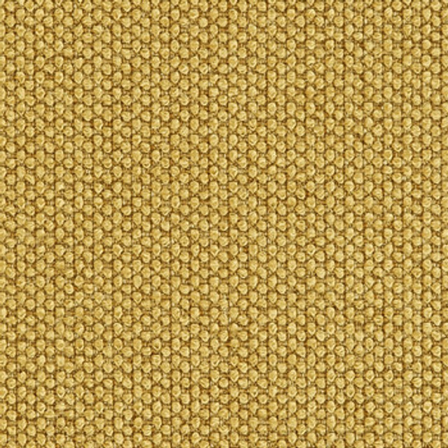 Fleece Gold by Crypton Designer Fabric See sample 100% Polyester  100000 Horizontal: Not Applicable and Vertical: Not Applicable 54"  - Swanky Fabrics -
