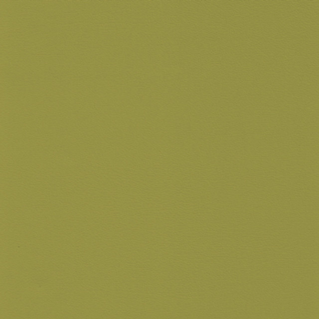 Allante Free Garden Green by Morbern Designer Fabric See sample 100% Vinyl  200000 Horizontal: Not Applicable and Vertical: Not Applicable 54"  - Swanky Fabrics -