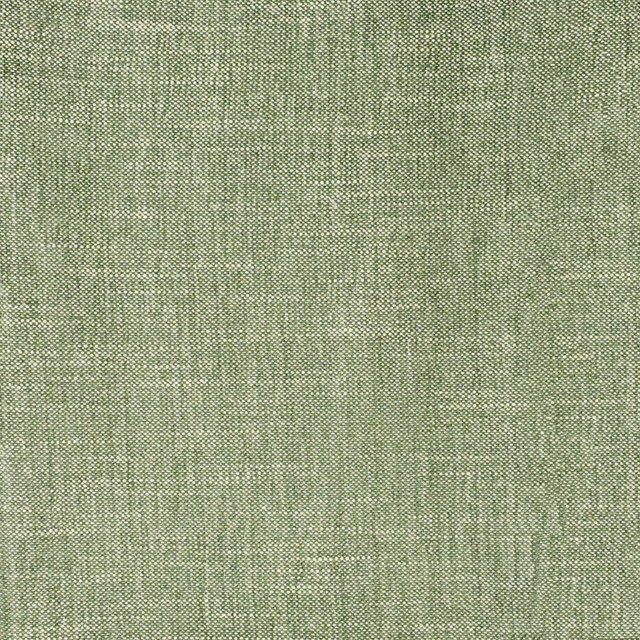 F3868 Meadow by Greenhouse Designer Fabric F01: upholstery by COLOR 52% Viscose, 25% Polyester, 15% Linen, 8% Cotton USA 100,000 double rubs </p><p>Repeat: None 54" - Swanky Fabrics -