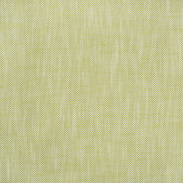 S4551 Palm by Greenhouse Designer Fabric S64: Outdoor Performance 100% Polyester (Uv) USA 102,000 double rubs </p><p>Repeat: .063" H, .063" V 55" - Swanky Fabrics - S4551 Palm by Greenhouse Designer Fabric S64: Outdoor Performance 100% Polyester (Uv) USA 102,000 double rubs </p><p>Repeat: .063" H, .063" V 55" - Swanky Fabrics -