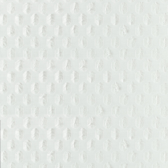 S5142 Optic White by Greenhouse Designer Fabric M11: Memos by Color 69% Polyester, 31% Cotton India DRAPERY double rubs </p><p>Repeat: 1.25" H, 1.75" V 58" - Swanky Fabrics - S5142 Optic White by Greenhouse Designer Fabric M11: Memos by Color 69% Polyester, 31% Cotton India DRAPERY double rubs </p><p>Repeat: 1.25" H, 1.75" V 58" - Swanky Fabrics -