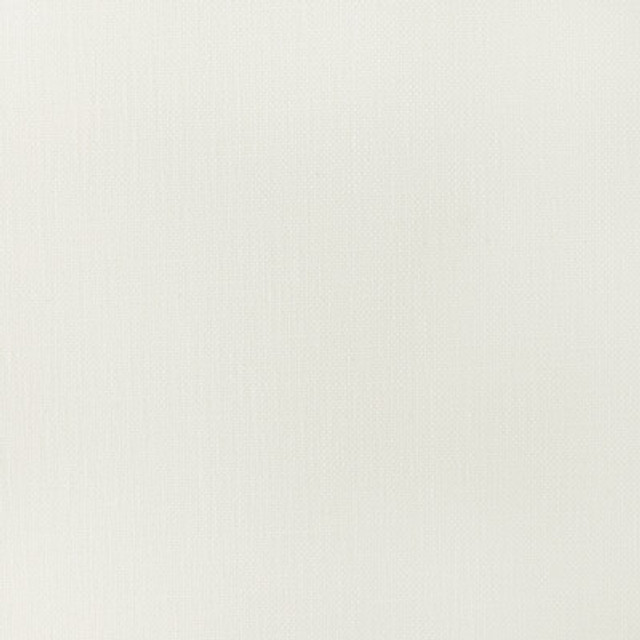 35245.1.0 by Kravet Fabric Kravet Fabric 35245.1.0Fabric COTTON - 50%;POLYESTER - 50% India </p><p>Repeat: H: 0, V: 0 55 - Fabric Carolina -