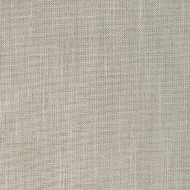 36649.1116.0 by Kravet Fabric Kravet Fabric 36649.1116.0Fabric POLYESTER - 86%;COTTON - 14% India </p><p>Repeat: H: 0, V: 0 54 - Fabric Carolina -