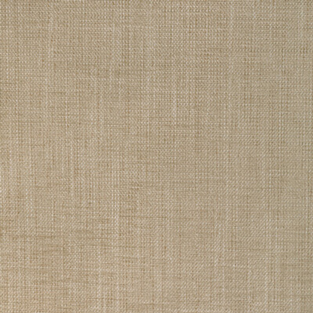 36649.116.0 by Kravet Fabric Kravet Fabric 36649.116.0Fabric POLYESTER - 86%;COTTON - 14% India </p><p>Repeat: H: 0, V: 0 54 - Fabric Carolina -