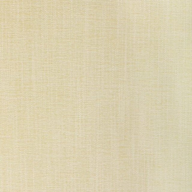 36650.1111.0 by Kravet Fabric Kravet Fabric 36650.1111.0Fabric PERFORMANCE KRAVETARMOR SPUN POLYESTER - 61%;POLYFIL - 39% India </p><p>Repeat: H: 0, V: 0 54 - Fabric Carolina -