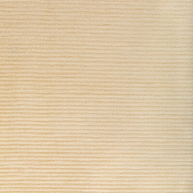 36651.1.0 by Kravet Fabric Kravet Fabric 36651.1.0Fabric PERFORMANCE KRAVETARMOR POLYFIL - 81%;SPUN POLYESTER - 19% India </p><p>Repeat: H: 0, V: 0 54 - Fabric Carolina -