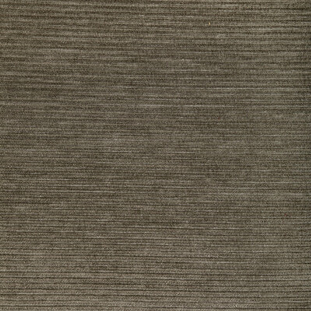 36651.106.0 by Kravet Fabric Kravet Fabric 36651.106.0Fabric PERFORMANCE KRAVETARMOR POLYFIL - 81%;SPUN POLYESTER - 19% India </p><p>Repeat: H: 0, V: 0 54 - Fabric Carolina -