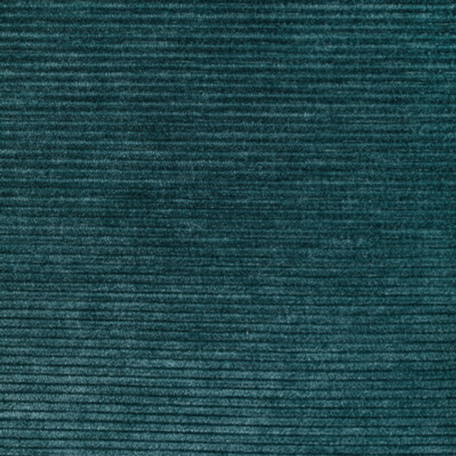 36651.13.0 by Kravet Fabric Kravet Fabric 36651.13.0Fabric PERFORMANCE KRAVETARMOR POLYFIL - 81%;SPUN POLYESTER - 19% India </p><p>Repeat: H: 0, V: 0 54 - Fabric Carolina -