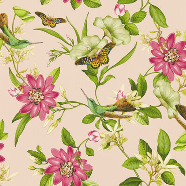 W0132/01.CAC.0 by Clarke And Clarke Wallcovering Clarke And Clarke Wallcovering W0132/01.CAC.0Wallcovering CLARKE & CLARKE BOTANICAL WONDERS WALLPAPER NON WOVEN - 100% United Kingdom </p><p>Repeat: H: 0, V: 20.47 20.5 - Fabric Carolina -