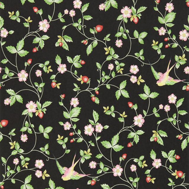 W0135/04.CAC.0 by Clarke And Clarke Wallcovering Clarke And Clarke Wallcovering W0135/04.CAC.0Wallcovering CLARKE & CLARKE BOTANICAL WONDERS WALLPAPER NON WOVEN - 100% United Kingdom </p><p>Repeat: H: 0, V: 20.47 20.5 - Fabric Carolina -