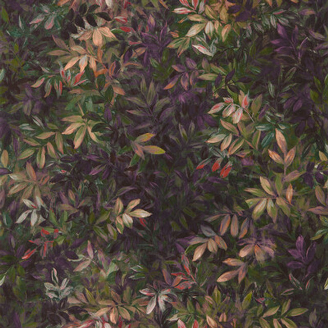 W0140/01.CAC.0 by Clarke And Clarke Wallcovering Clarke And Clarke Wallcovering W0140/01.CAC.0Wallcovering CLARKE & CLARKE EXOTICA 2 LUXURY WALLCOVERING NON WOVEN - 100% United Kingdom </p><p>Repeat: H: 0, V: 20.5 20.5 - Fabric Carolina -