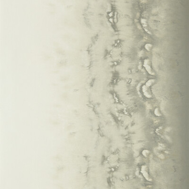 W0149/02.CAC.0 by Clarke And Clarke Wallcovering Clarke And Clarke Wallcovering W0149/02.CAC.0Wallcovering CLARKE & CLARKE FUSION LUXURY WALLCOVERING NON WOVEN - 100% United Kingdom </p><p>Repeat: H: 0, V: 20.5 20.5 - Fabric Carolina -