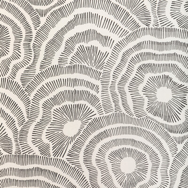 W3823.81.0 by Kravet Wallcovering Kravet Wallcovering W3823.81.0Wallcovering COREY DAMEN JENKINS TRAD NOUVEAU CELLULOSE - 85%;POLYESTER - 15% United States </p><p>Repeat: H: 27, V: 25.25 27 - Fabric Carolina -