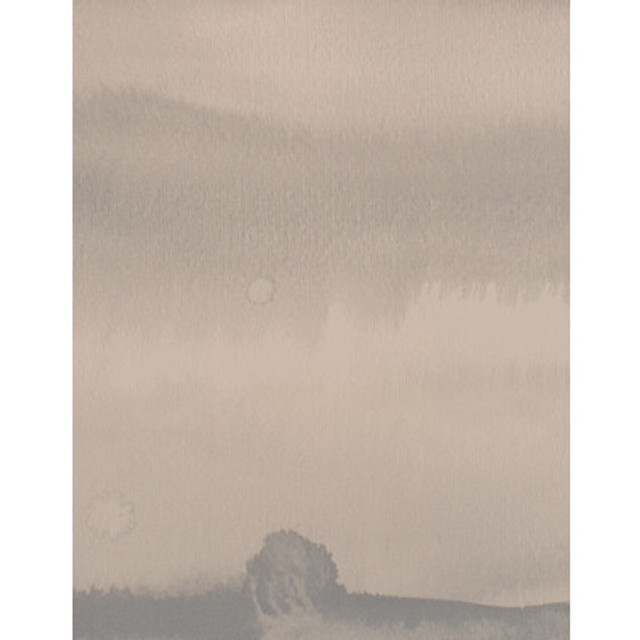 WDW2174.WT.0 by Winfield Thybony Wallcovering Winfield Thybony Wallcovering WDW2174.WT.0Wallcovering WINFIELD THYBONY VINYL ON NON WOVEN - 100% United States </p><p>Repeat: H: , V: 54 - Fabric Carolina -