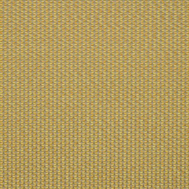 MAJ J338 140 Majestic Citrine by Sunbrella Designer Fabric Sunbrella European Sunbrella® Acrylic, Sunbrella® Polyester USA or Imported 5-Year Horizontal: and Vertical: 55 in. - Swanky Fabrics -