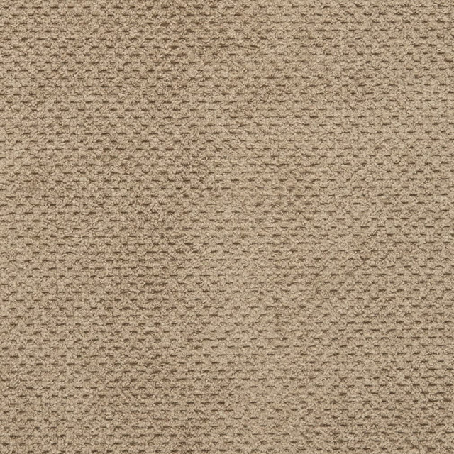 D3018 Taupe by Charlotte Designer Fabric Chenille III 94% Polyester, 6% Nylon Asia Exceeds 30,000 Wyzenbeek Rubs (Heavy Duty) </p><p>Repeat: No Repeat 54 Inches - Swanky Fabrics -