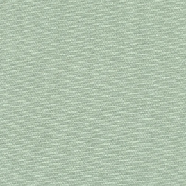 D3412 Spray by Charlotte Designer Fabric Washed Cotton 16oz, 100% Cotton Made In USA Exceeds 20,0000 Wyzenbeek Rubs (Heavy Duty) </p><p>Repeat: No Repeat 54 Inches - Swanky Fabrics -