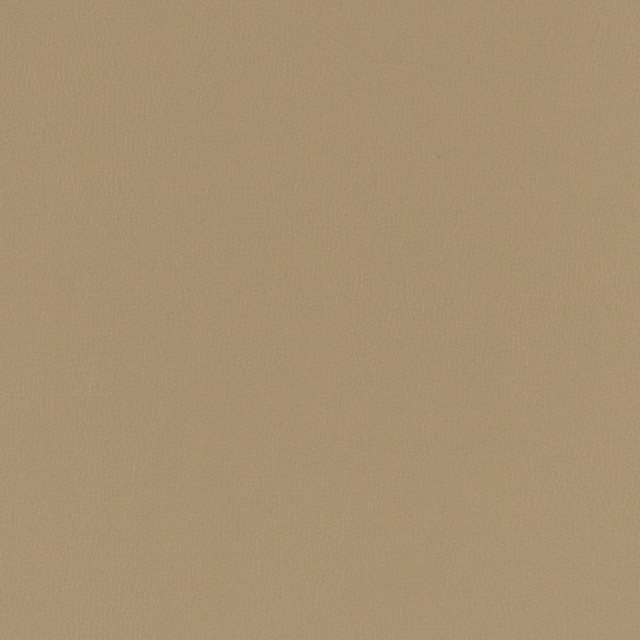 V783 Dove by Charlotte Designer Fabric Value Vinyl III 22oz, Face: 100% Polyurethane, Back: 70% Polyester, 30% Cotton Asia Exceeds 40,0000 Wyzenbeek Rubs (Heavy Duty) </p><p>Repeat: No Repeat 54 Inches - Swanky Fabrics -