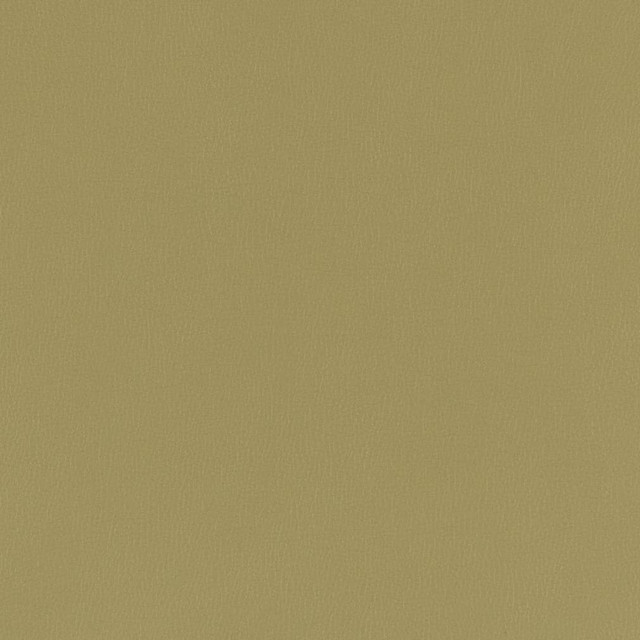 V790 Moss by Charlotte Designer Fabric Value Vinyl III 22oz, Face: 100% Polyurethane, Back: 70% Polyester, 30% Cotton Asia Exceeds 40,0000 Wyzenbeek Rubs (Heavy Duty) </p><p>Repeat: No Repeat 54 Inches - Swanky Fabrics -