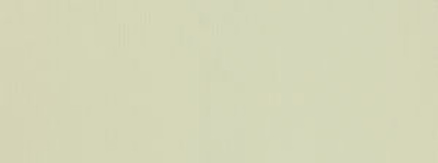 Bahama Antique White 101 by Norbar Designer Fabric SENSATION 100% COTTON CHINA 3/4"V 3/4"H 56 - Swanky Fabrics -