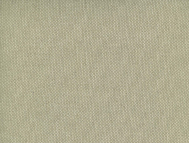 Frenzy Birch 864 by Norbar Designer Fabric FRENZY 60% COTTON 40% LINEN INDIA 54 - Swanky Fabrics - Frenzy Birch 864 by Norbar Designer Fabric FRENZY 60% COTTON 40% LINEN INDIA 54 - Swanky Fabrics -