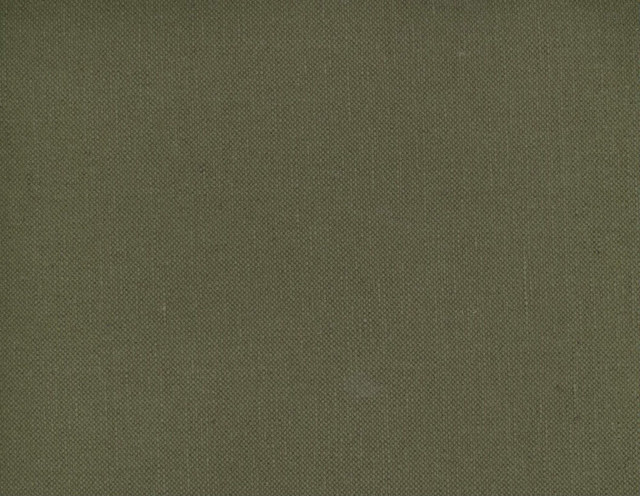 Frenzy Earth 867 by Norbar Designer Fabric FRENZY 60% COTTON 40% LINEN INDIA 54 - Swanky Fabrics -