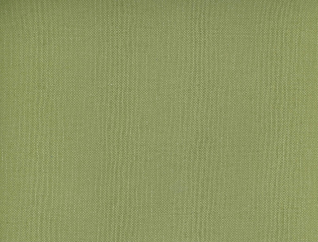 Frenzy Lichen 349 by Norbar Designer Fabric FRENZY 60% COTTON 40% LINEN INDIA 54 - Swanky Fabrics - Frenzy Lichen 349 by Norbar Designer Fabric FRENZY 60% COTTON 40% LINEN INDIA 54 - Swanky Fabrics -