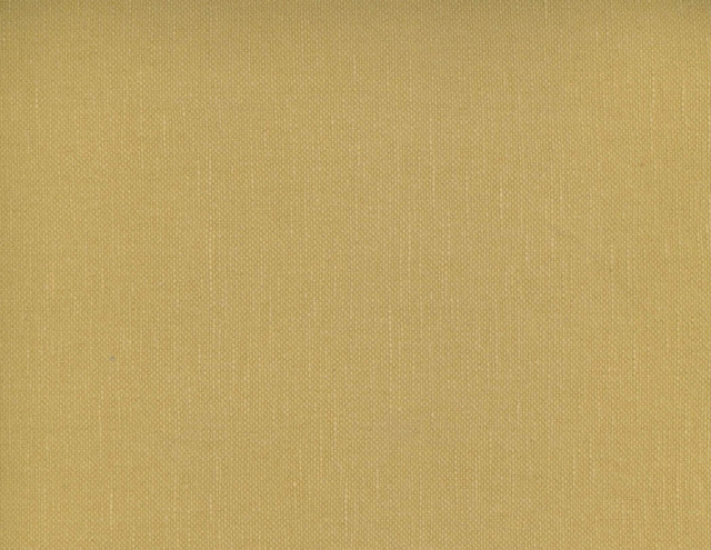 Frenzy Raffia 123 by Norbar Designer Fabric FRENZY 60% COTTON 40% LINEN INDIA 54 - Swanky Fabrics -