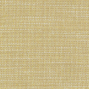 Majesty Sugar Cookie 15 by Norbar Designer Fabric MAJESTY 100% POLYESTER INDIA 54 - Swanky Fabrics -