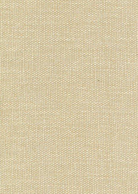 Sudan Beige 38 by Norbar Designer Fabric IMPERIAL 100% POLYESTER SPAIN 54 - Swanky Fabrics -