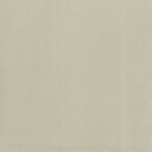 Supra Natural 01 by Norbar Designer Fabric SUPRA SUEDE 75% POLYESTER 25% COTTON SPAIN 54" - Swanky Fabrics -