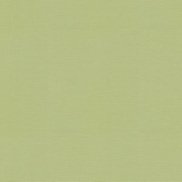 Vail Bamboo by Norbar Designer Fabric VAIL 100% COTTON INDIA 55 - Swanky Fabrics -