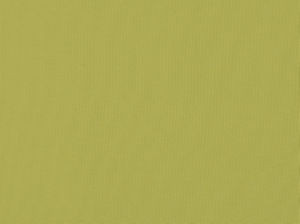 Zolic Acid Green 244 by Norbar Designer Fabric SUNTASTIC 100% POLYPROPYLENE TURKEY 54 - Swanky Fabrics -