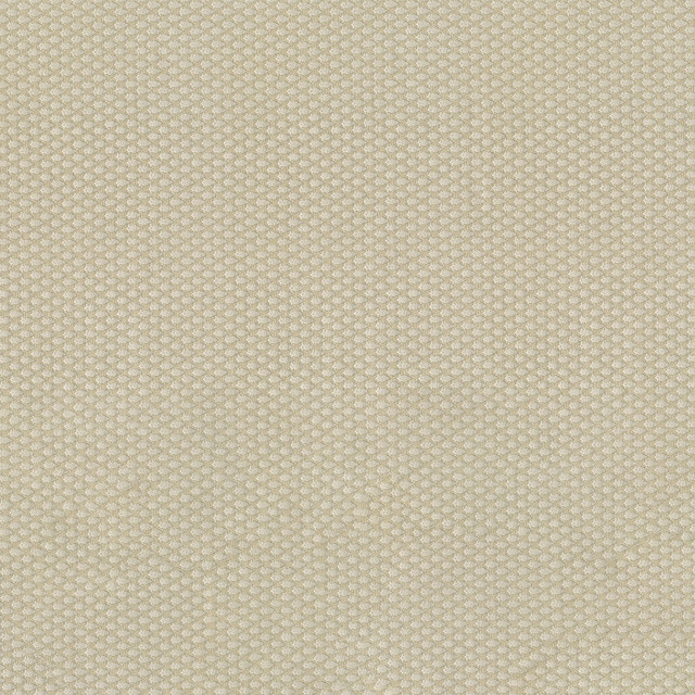 Fiera 61 Ecru by ABBEYSHEA Designer Fabric 100% Polyester CN 20,000 Double Rubs (Wyzenbeek) </p><p>Repeat: Horizontal: and Vertical: 56 in. (142 cm) - Swanky Fabrics -